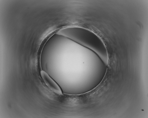 X0000112540344200908171447