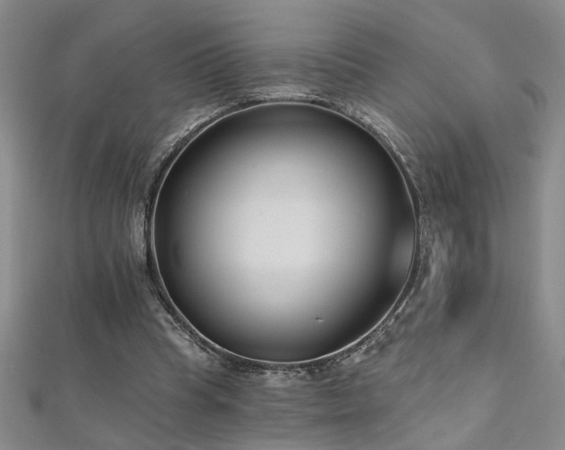 X0000112540345200908171447