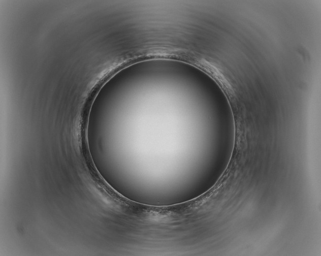 X0000112540346200908171447