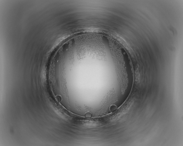 X0000112540347200908171447