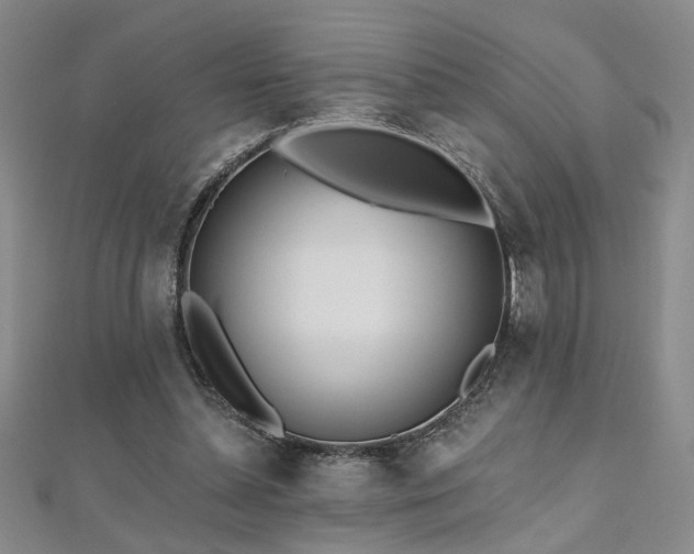 X0000112540348200908171447