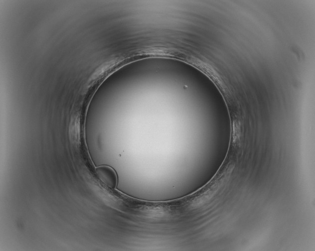 X0000112540349200908171447