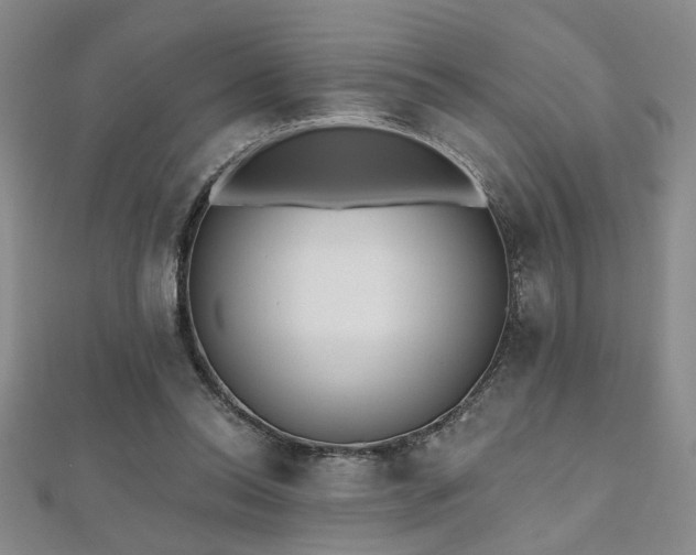 X0000112540350200908171447