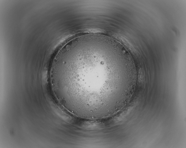 X0000112540351200908171447