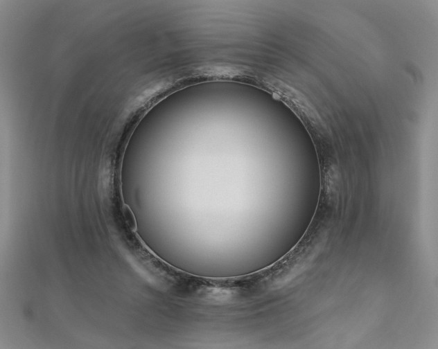 X0000112540352200908171447