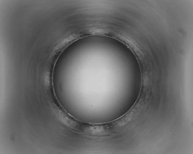 X0000112540353200908171447