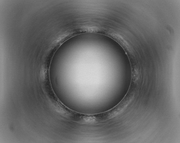 X0000112540355200908171447