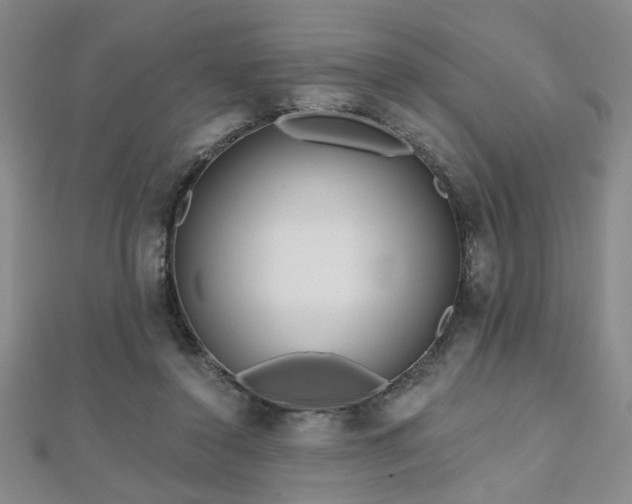 X0000112540356200908171447
