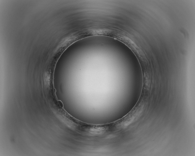 X0000112540357200908171447