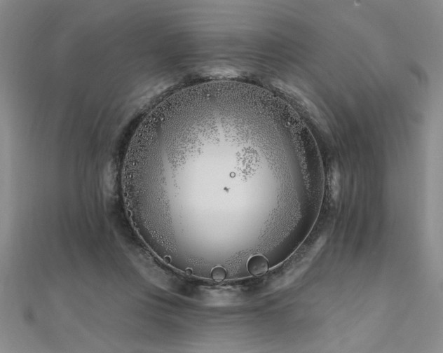 X0000112540359200908171447