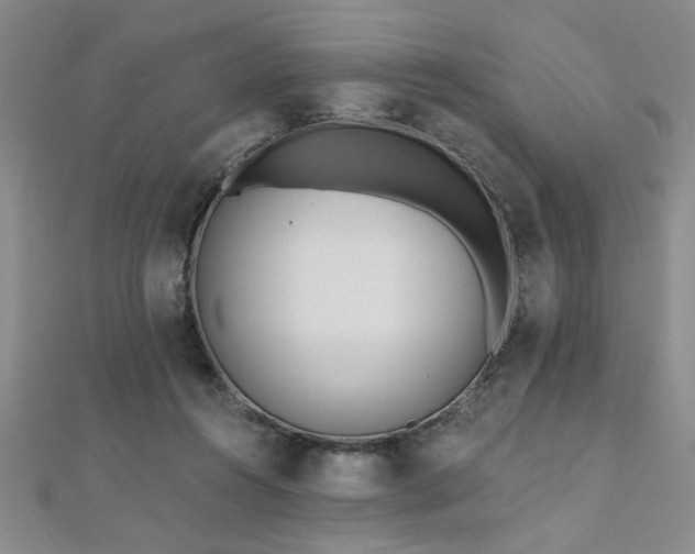 X0000112540360200908171447