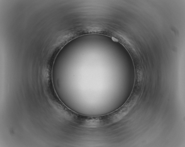 X0000112540362200908171447