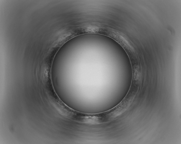X0000112540363200908171447