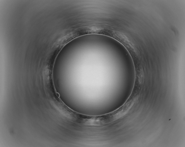 X0000112540366200908171447