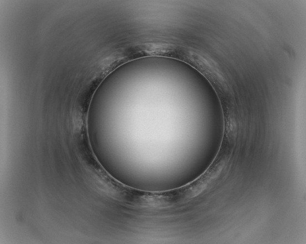 X0000112540367200908171447