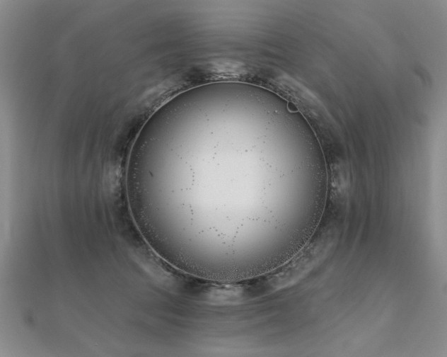 X0000112540369200908171447
