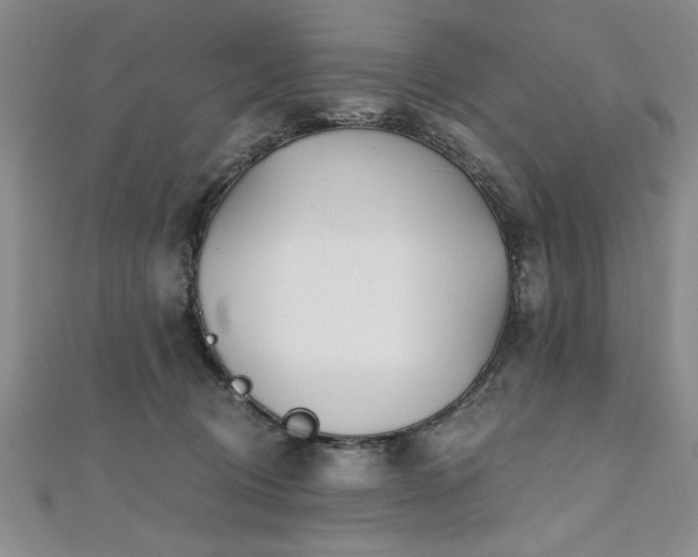 X0000112540370200908171447