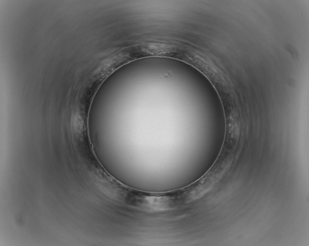 X0000112540371200908171447