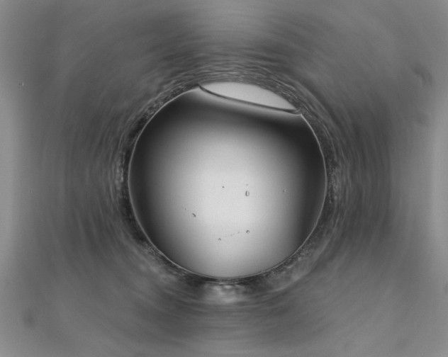 X0000112540372200908171448