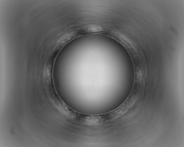 X0000112540373200908171448