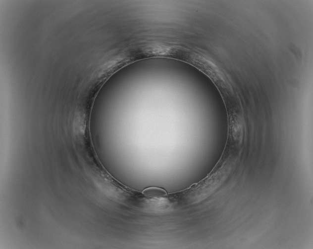 X0000112540374200908171448