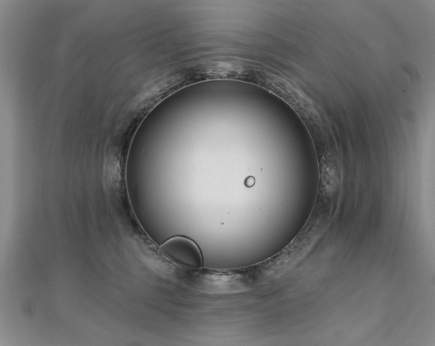 X0000112540375200908171448