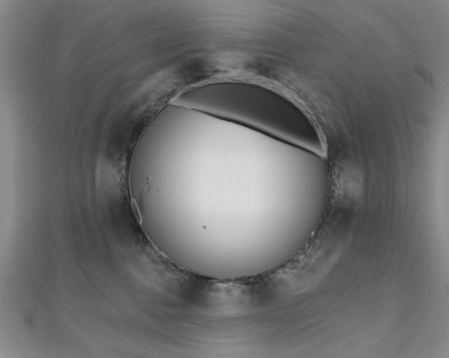 X0000112540376200908171448