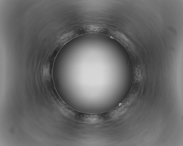 X0000112540377200908171448
