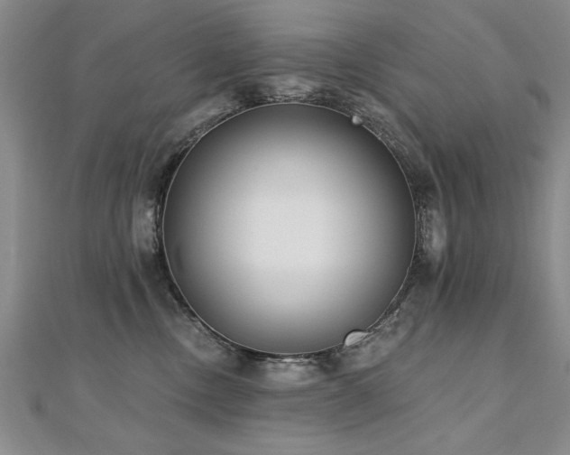 X0000112540378200908171448