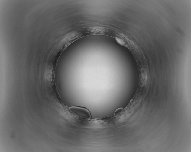 X0000112540379200908171448