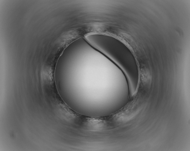 X0000112540380200908171448