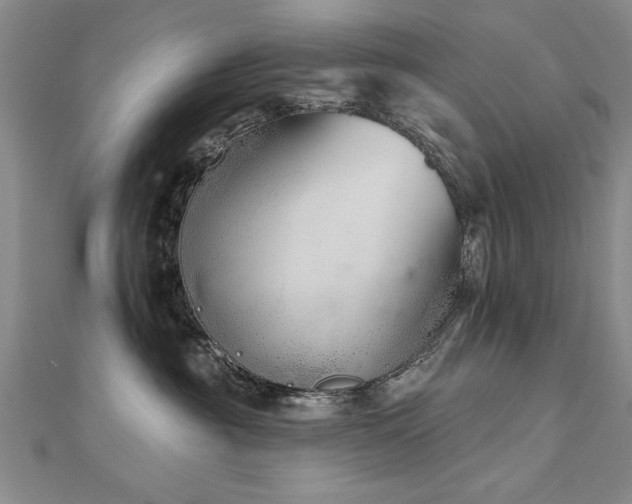 X0000112540381200908171448