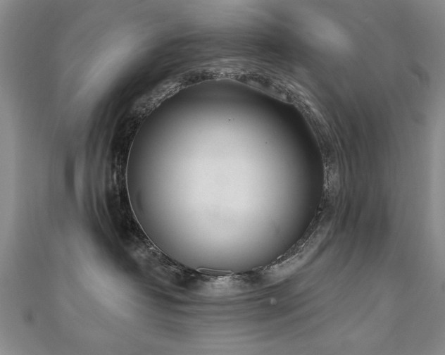 X0000112540382200908171448