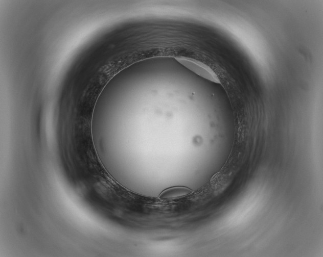 X0000112540383200908171448