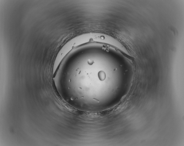 X0000112540384200908171448