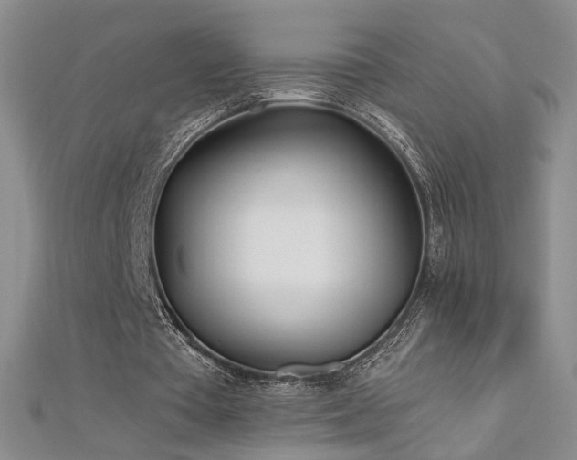 X0000112540385200908171447