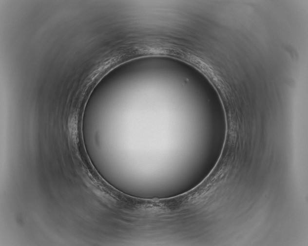 X0000112540386200908171447