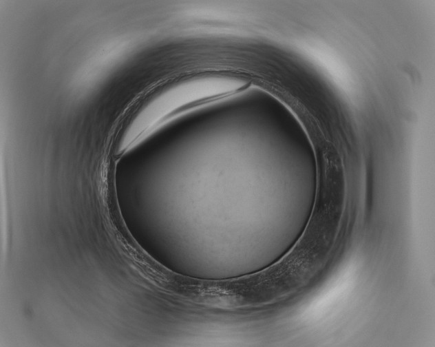 X0000112540387200908171447