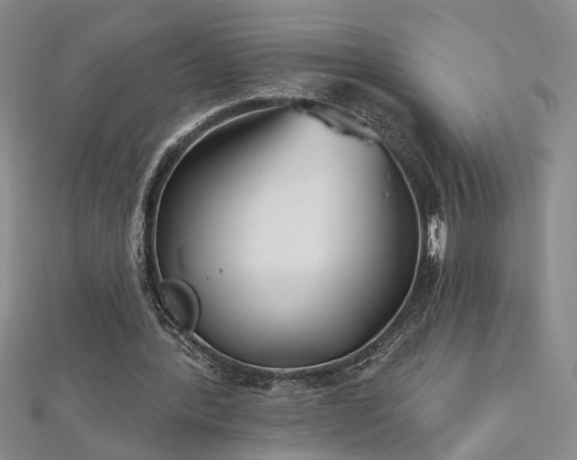 X0000112540388200908171447