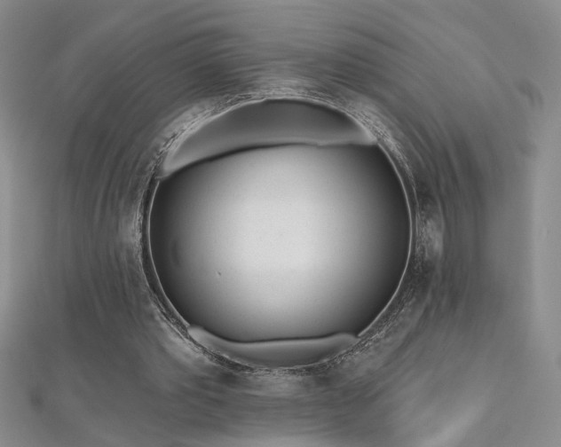 X0000112540389200908171447