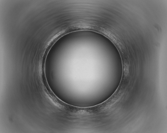 X0000112540390200908171447