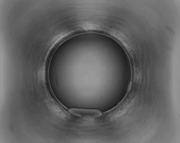 X0000112540391200908171447