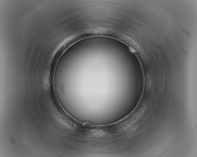 X0000112540392200908171447