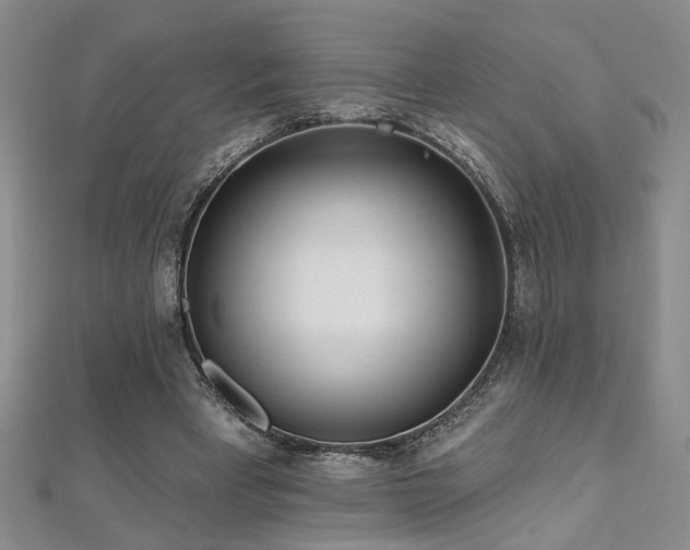 X0000112540393200908171447