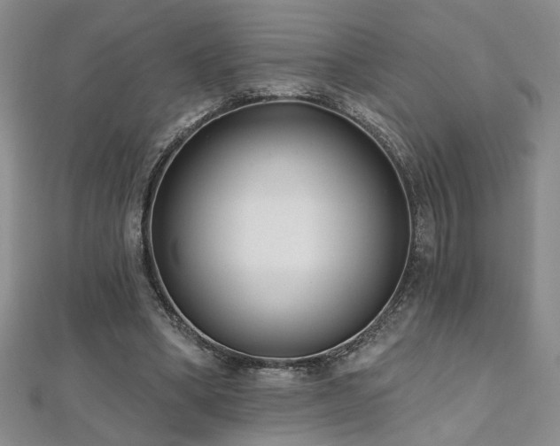 X0000112540394200908171447