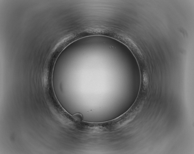 X0000112540396200908171447