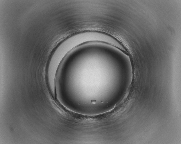 X0000112540397200908171447