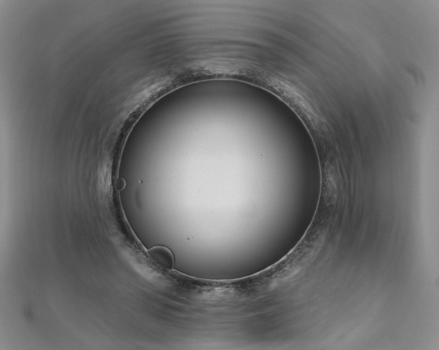 X0000112540398200908171447