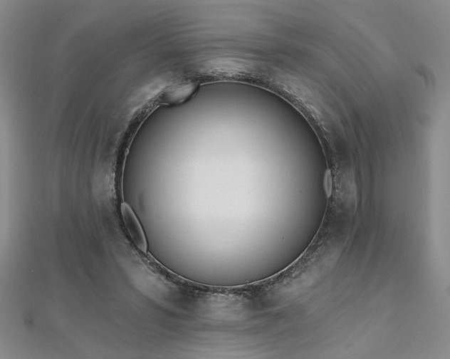 X0000112540399200908171447