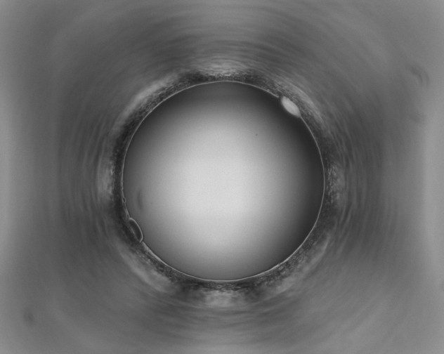 X0000112540400200908171447